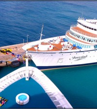 freight forwarders India